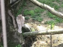 -宁波野生动物园