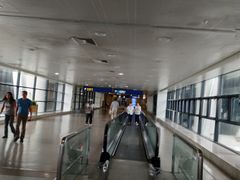 -上海浦东国际机场-T2航站楼