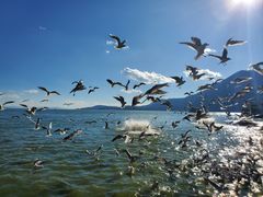 -滇池海埂公园
