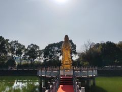 -报恩禅寺