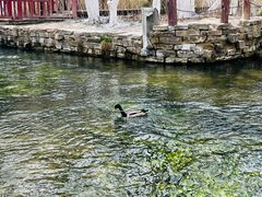 -水磨沟公园