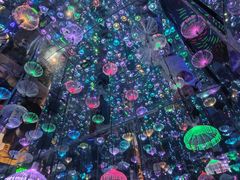 -梵高星空艺术馆(北京旗舰店)