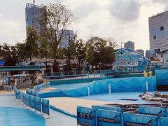 -海合安成都极地海洋公园