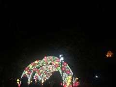 -映月湖公园