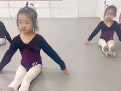 -西安小天鹅艺术团(金花路校区)