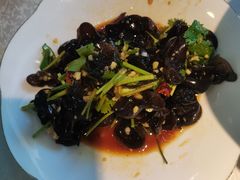 -洞庭家宴·头牌甲鱼(广渠门店)