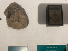 -王府井古人类文化遗址博物馆