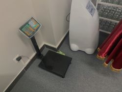 -苗塑堂减肥·艾灸