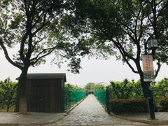 -树山生态村