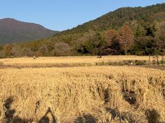 -塔川景区