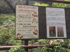 -岚山猴子公园