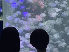 -重庆欢乐海底世界