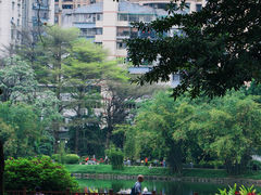 -晓港公园