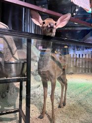 -酷嗒动物文化乐园(cutezoo西溪乐天城店)