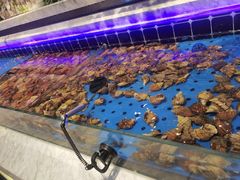 -川骄海鲜自助(河东店)