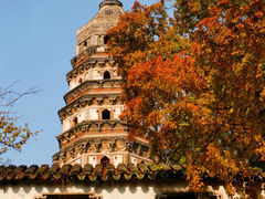 -艺圃