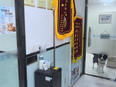 -嘉馨宠物医院·CT影像转诊·心脏科·犬猫全科诊疗中心(下沙大学城院区)