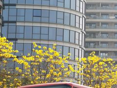 -洲头咀公园