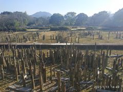 -河姆渡遗址博物馆