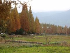 -塔川景区