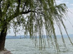 -东钱湖旅游度假区