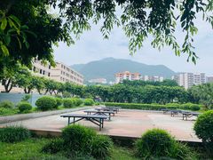 -西南政法大学(沙坪坝校区)