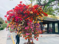 -三亚南山文化旅游区