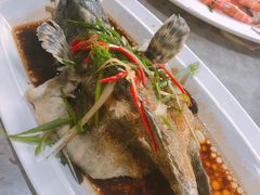 石斑鱼清蒸-四川小胡子海鲜(丁村万人海鲜广场店)