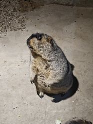 -酷嗒动物文化乐园(cutezoo西溪乐天城店)