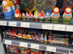 -谢列梅捷沃国际机场