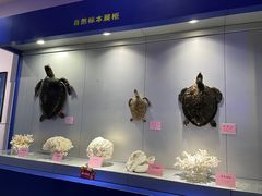 -福州罗源湾海洋世界旅游区