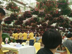 -广州花之恋城堡酒店