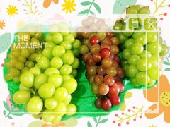 -马陆小张葡萄园农家乐