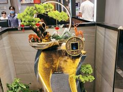 -上渔铁板烧(熙悦汇店)