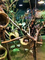 -Zoolung Zoolung动物主题公园(海信广场店)