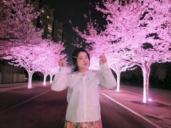 -西北湖绿化广场