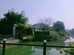 -长广溪湿地公园