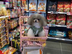 -萌兽医馆·眼科·异宠专科(三里屯店)