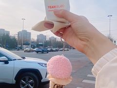 -野人先生现做冰淇淋(北京环宇荟店)