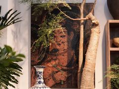 -自由生长植物工作室(深港花卉中心店)