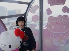 -影汇之星8字形摩天轮