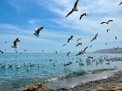 -青海湖国家重点风景名胜区