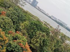 -立新湖公园