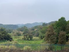 -东莞植物园