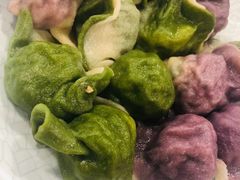 -宝源饺子(麦子店街店)