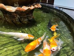 -裕丰源滋补烩面(天赋路店)
