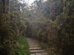 -唐城墙遗址公园