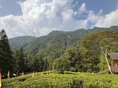 -姑婆山旅游区