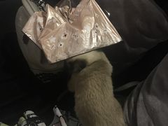 -吱咖啡西式简餐