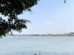 -海珠湖公园